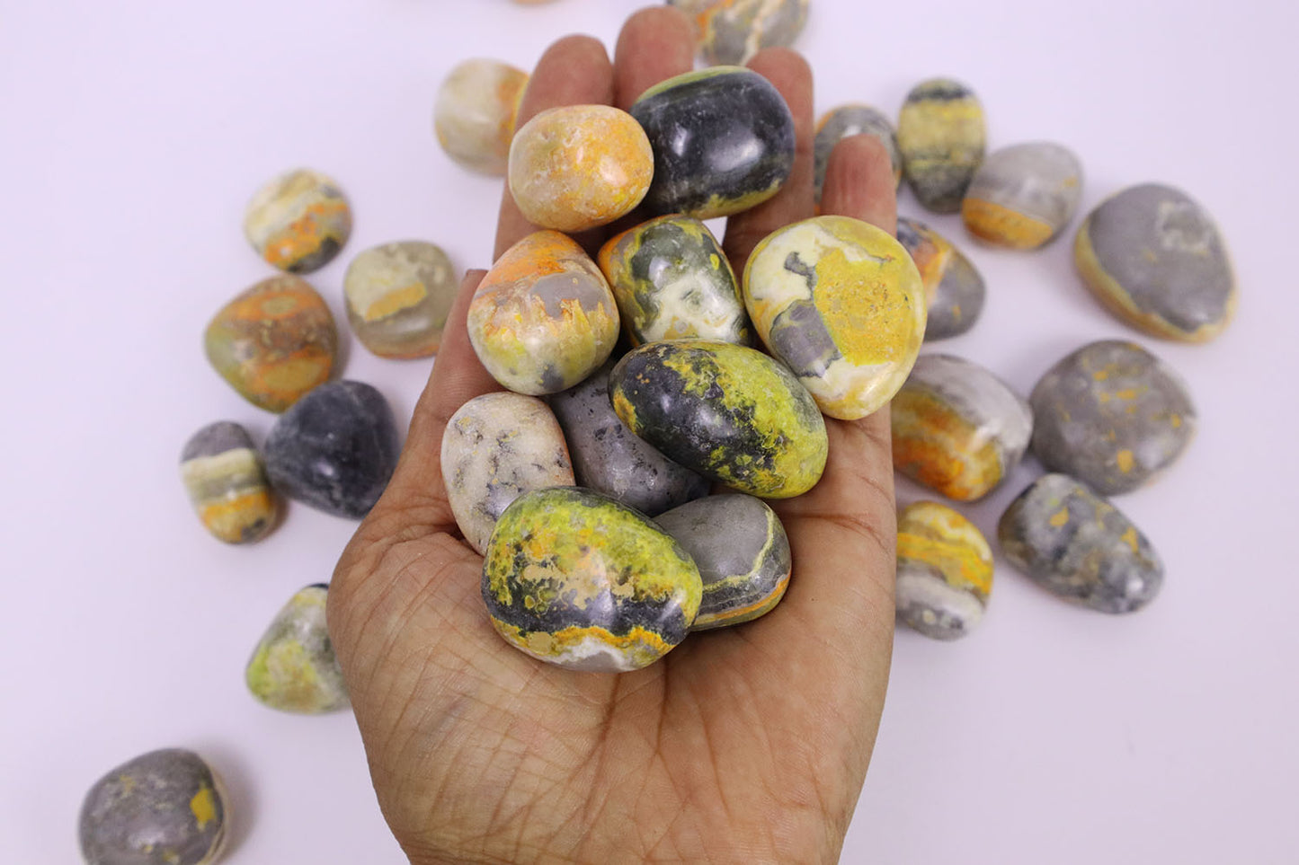 Bumble Bee Jasper